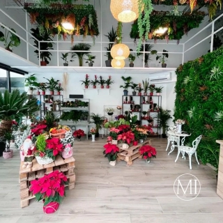Proyecto Floristeria Cipri